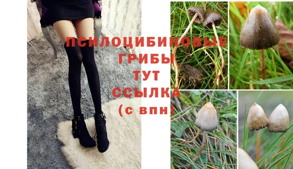mix Алексин