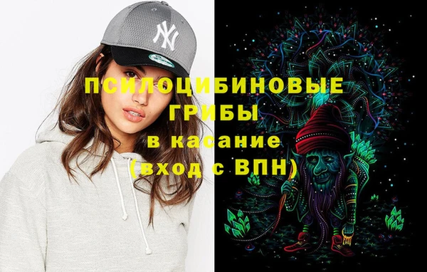 стафф Алзамай