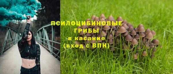 первитин Алексеевка