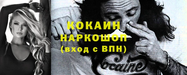 стафф Алзамай
