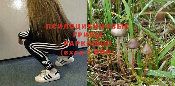 первитин Алексеевка