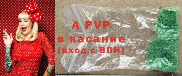стафф Алзамай